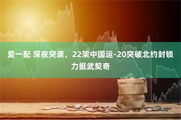 爱一配 深夜突袭，22架中国运-20突破北约封锁力挺武契奇