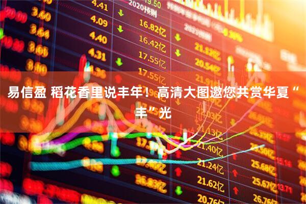 易信盈 稻花香里说丰年！高清大图邀您共赏华夏“丰”光
