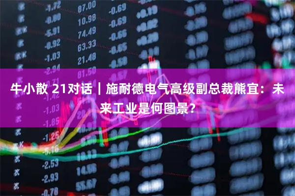 牛小散 21对话｜施耐德电气高级副总裁熊宜：未来工业是何图景？