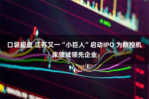 口袋超盘 江苏又一“小巨人”启动IPO 为数控机床领域领先企业