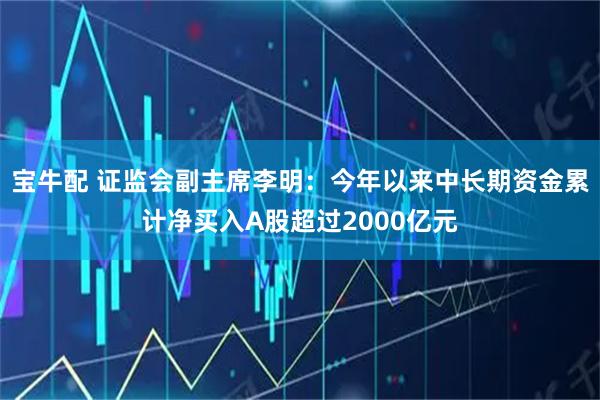 宝牛配 证监会副主席李明：今年以来中长期资金累计净买入A股超过2000亿元
