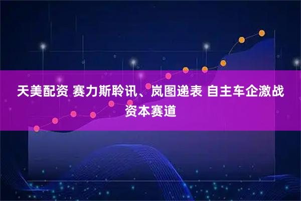 天美配资 赛力斯聆讯、岚图递表&#32;自主车企激战资本赛道