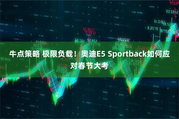 牛点策略 极限负载！奥迪E5 Sportback如何应对春节大考