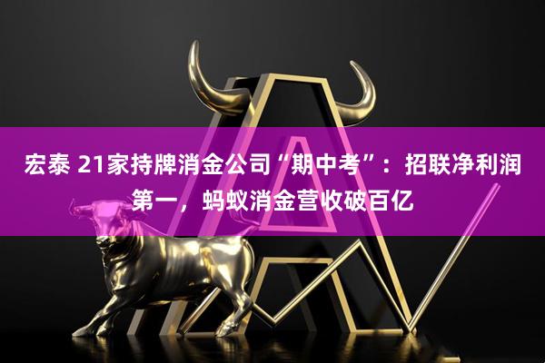 宏泰 21家持牌消金公司“期中考”：招联净利润第一，蚂蚁消金营收破百亿